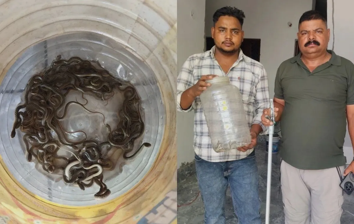खानेपानी ट्याङ्कीमा २७ वटा सर्पका बच्चा भेटिए, सकुशल उद्धार